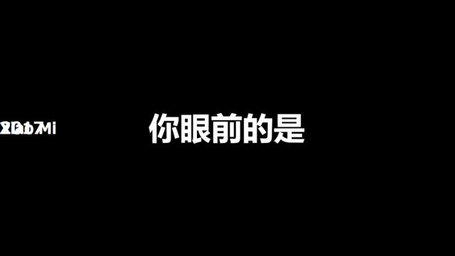 【编号10】小米发布会快闪版ppt