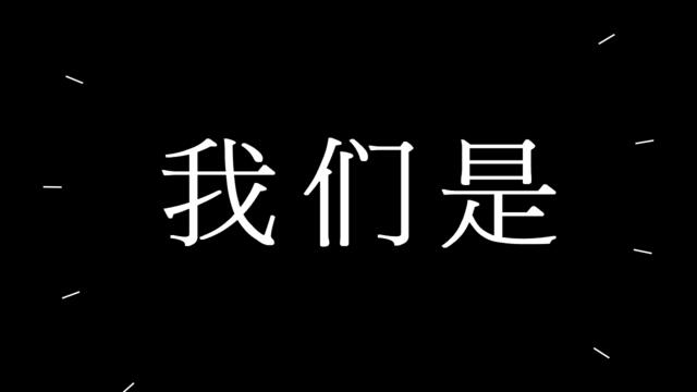 【编号60】Team团队介绍