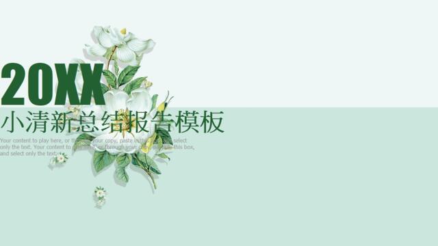 年终总结汇报(91)