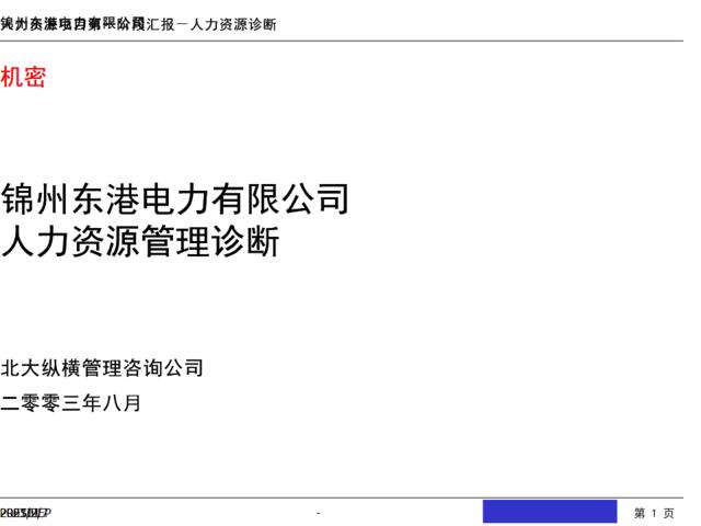 北大纵横-锦州东港电力有限公司人力资源诊断报告