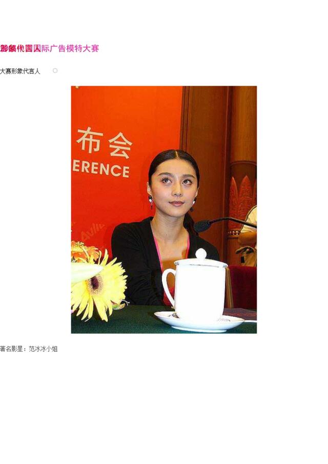 2005首届中国国际广告模特大赛形象代言人