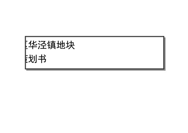 徐汇区华泾镇地块项目策划书