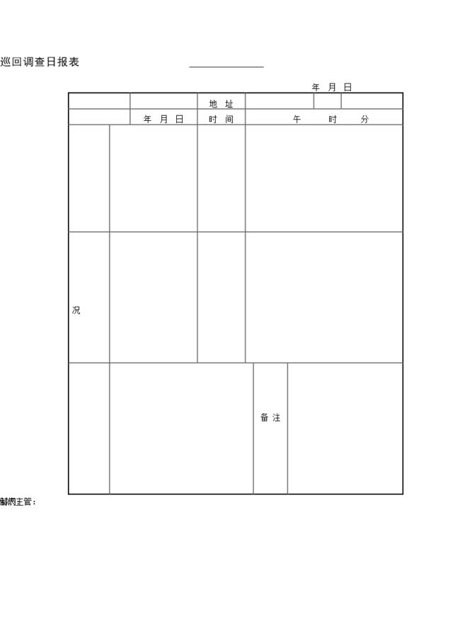 巡回调查日报表