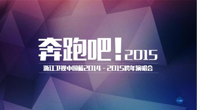 （精选推荐）2015浙江卫视跨年晚会招商合作方案