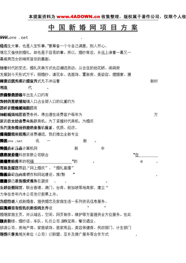 中国新婚网项目方案