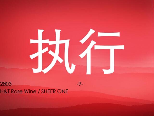 SHEERONE-啤酒策略执行