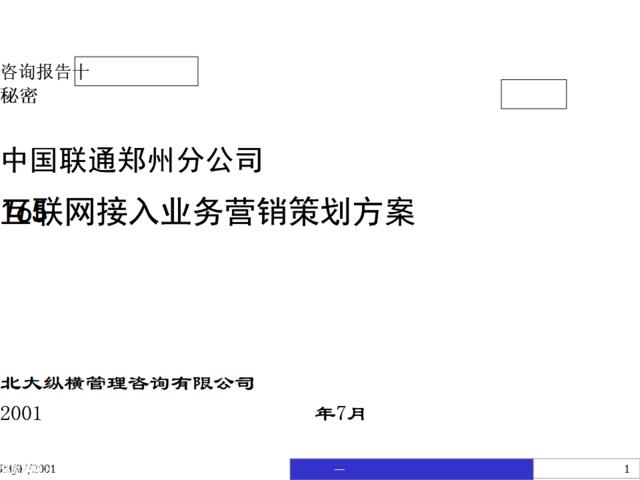 中国联通郑州分公司165互联网接入业务营销策划方案