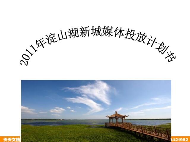 2011年上海淀山湖新城媒体投放计划书