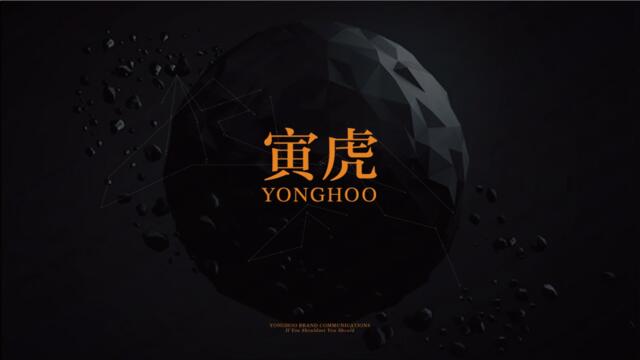 上海寅虎-2018年南京星河提报