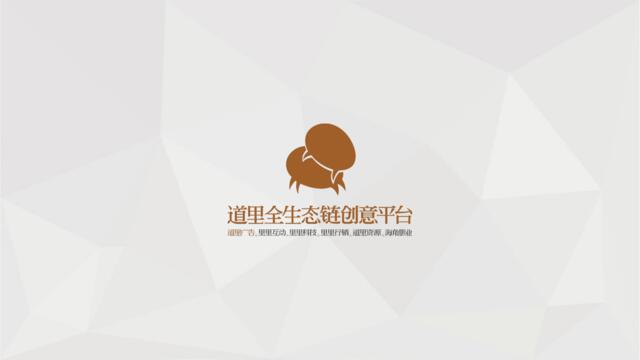 深圳道里-2017年复地星光天地推广策略案