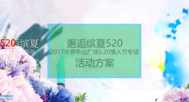 2017罗牛山广场520情人节专场活动方案