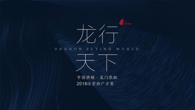 2018龙门农批整合推广方案