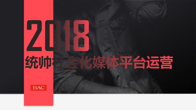 北京广告有限公司-2018统帅社会化媒体平台运营方案