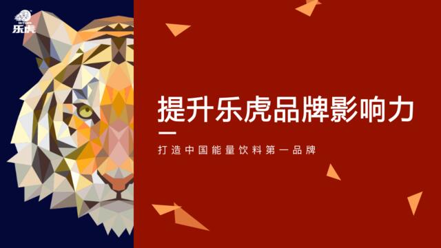 2017乐虎饮料品牌传播规划方案