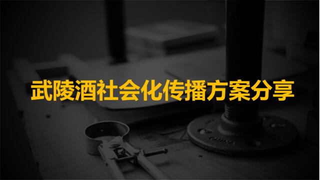 【时趣好方案】武陵酒社会化传播方案分享-郭嘉