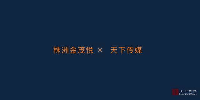 【营销星球-私密】20191115-2019株洲金茂悦广告全案终版