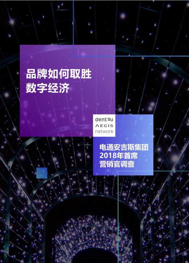 [营销星球]2018年首席营销官调查：品牌如何取胜数字经济