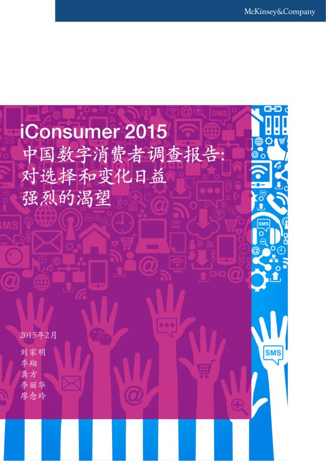 iConsumer2015中国数字消费者调查报告（2015年2月）