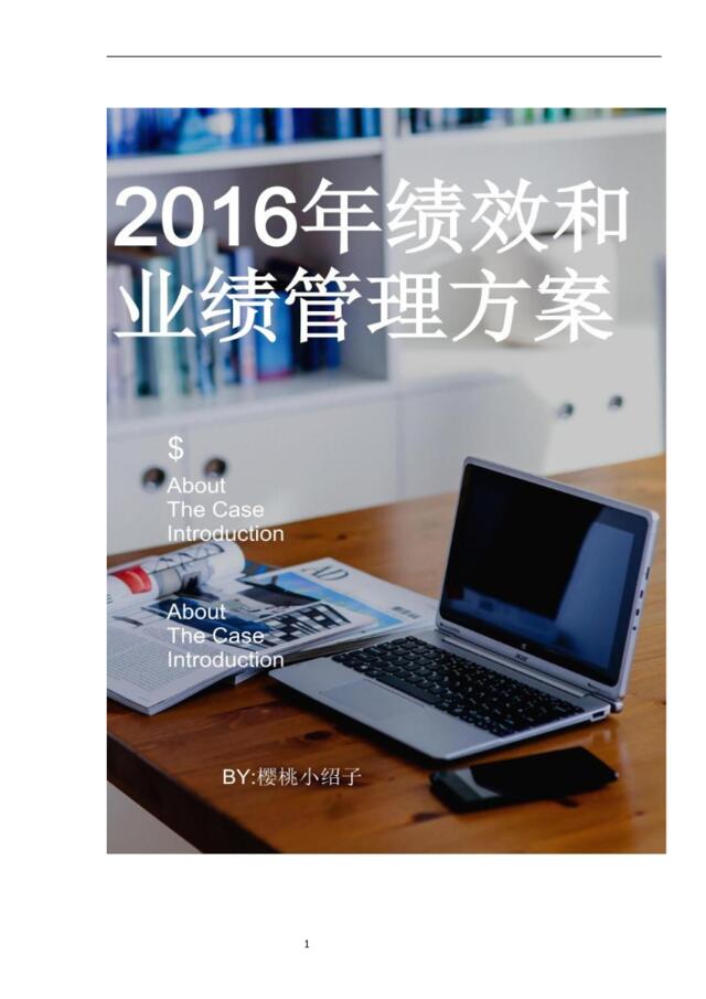 2016年绩效考核方案