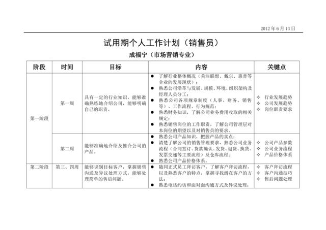 销售员试用期工作计划