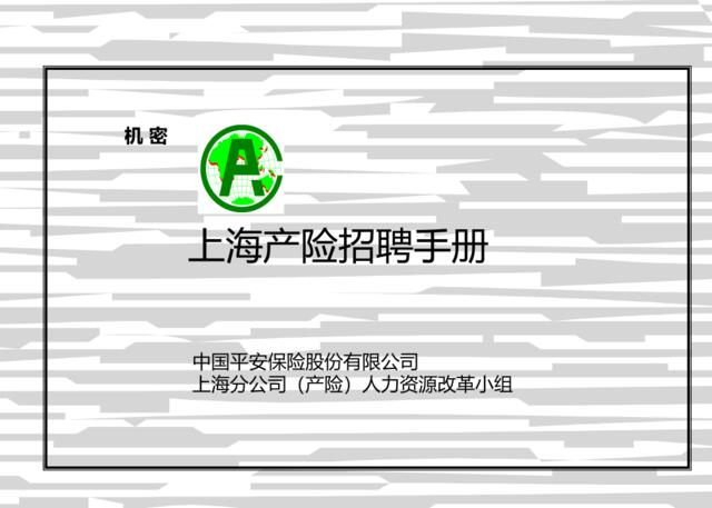 【制度流程册】上海产险招聘手册-76页