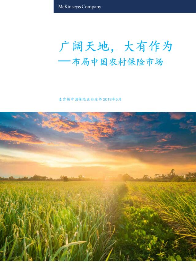[营销星球]麦肯锡_2018_广阔天地-大有作为-——布局中国农村保险市场