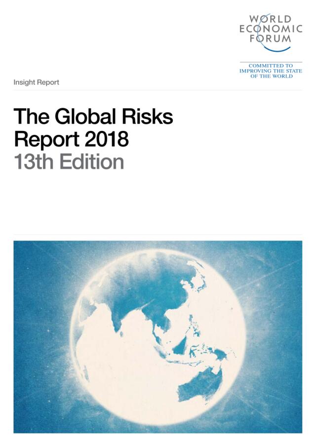 [营销星球]2018全球风险报告(英文版）-80页