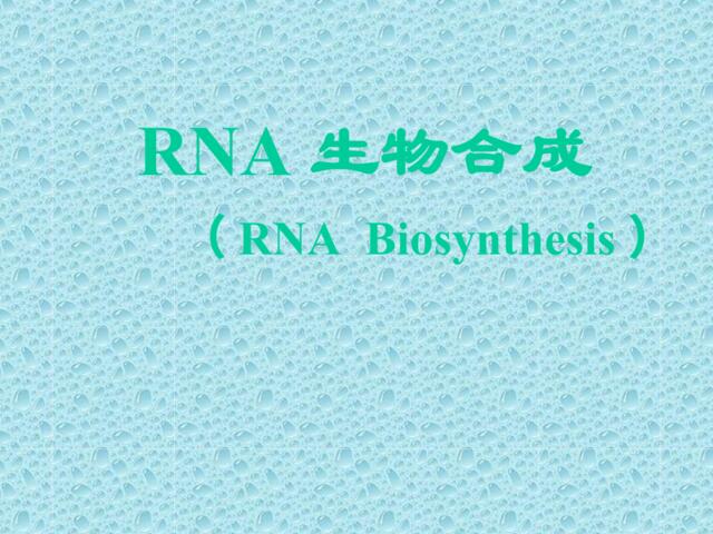 RNA生物合成