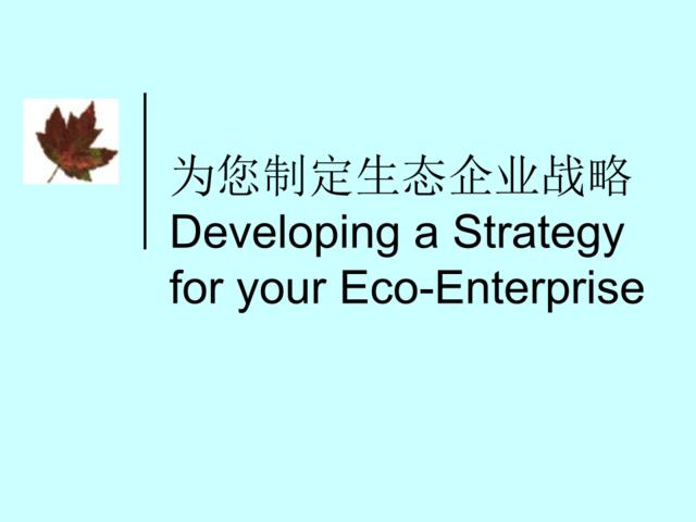 为您制定生态企业战略