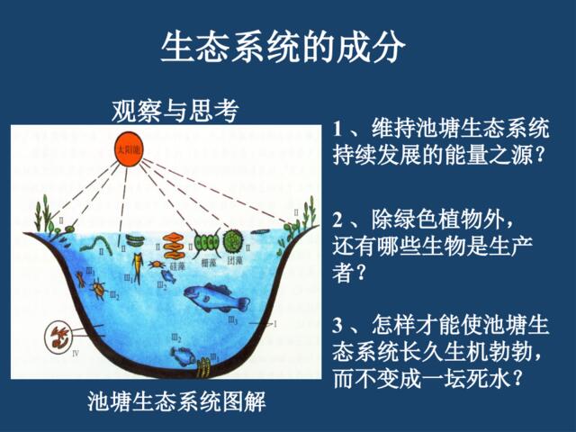 生态系统的成分