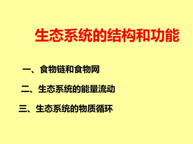 生态系统的结构和功能