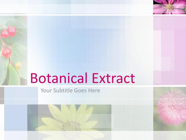 精美大自然PPT模板botanica_extract009