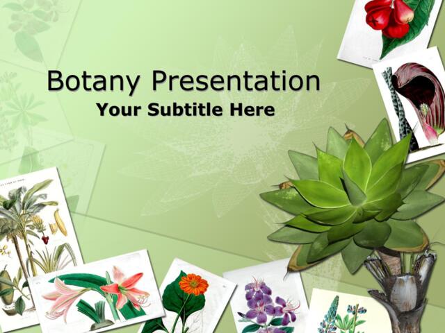 精美大自然PPT模板botany010