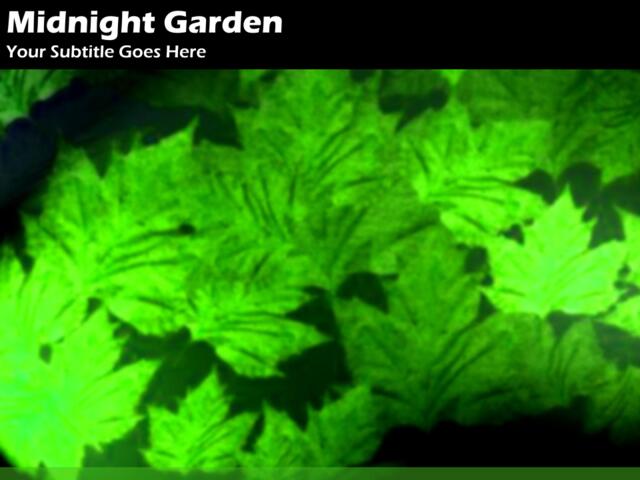 精美大自然PPT模板midnight_garden018