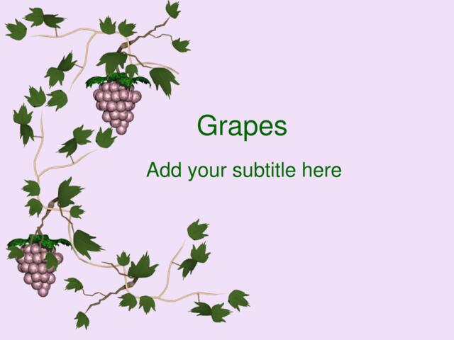 精美商业PPT模板grapes010