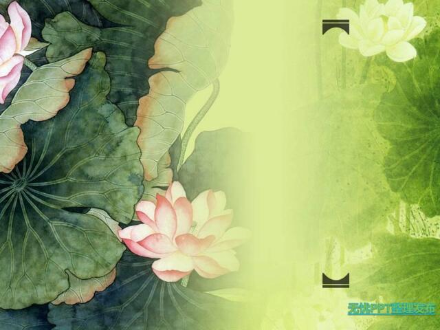 荷塘春绿-植物(1)