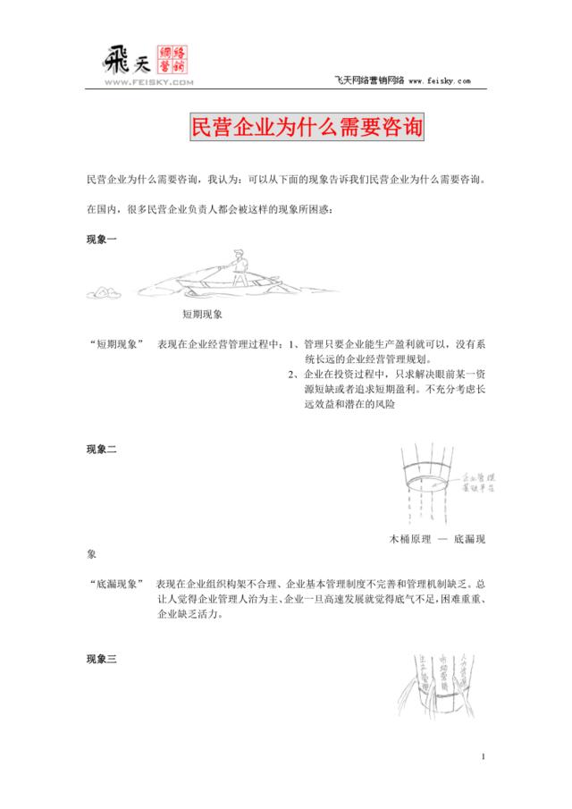 feisky.com民营企业为什么需要咨询