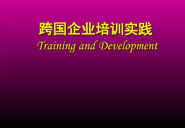 跨国企业培训实践