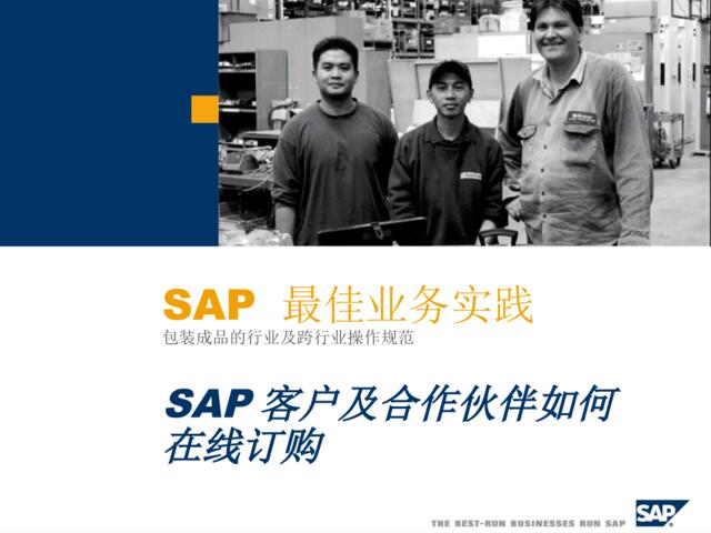 500强SAP商务PPT模板