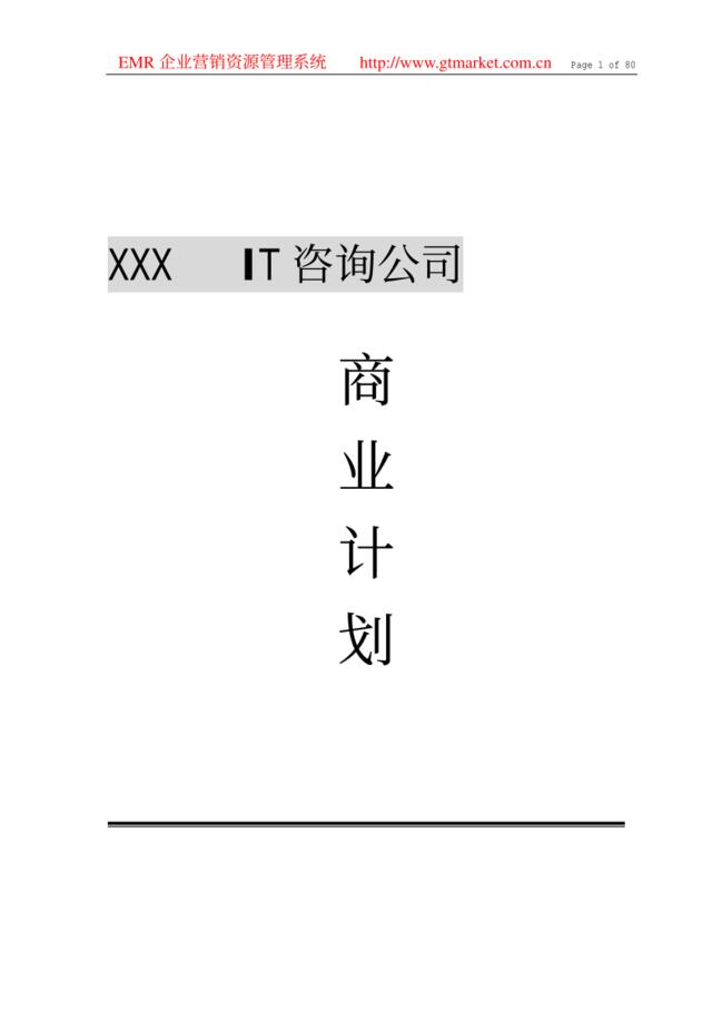 IT咨询公司商业计划书