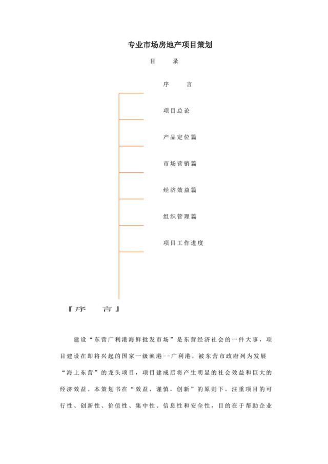 专业市场房地产项目策划