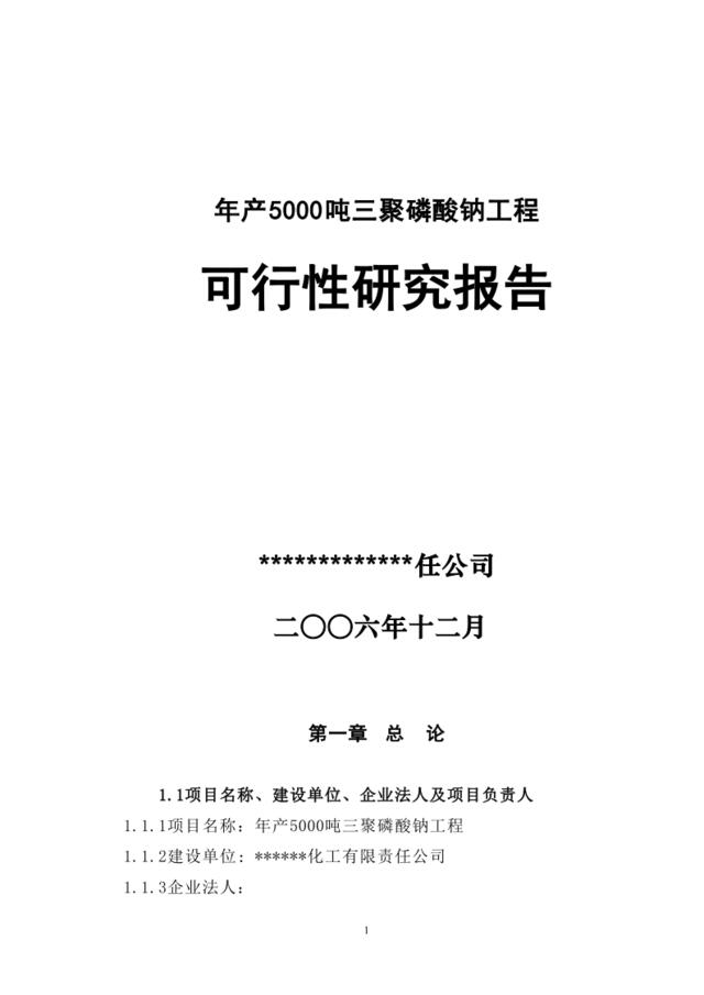 年产5000吨三聚磷酸钠可研报告