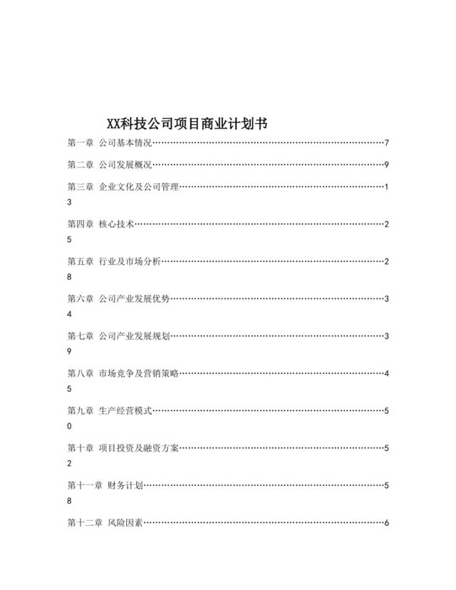 XX科技公司项目商业计划书