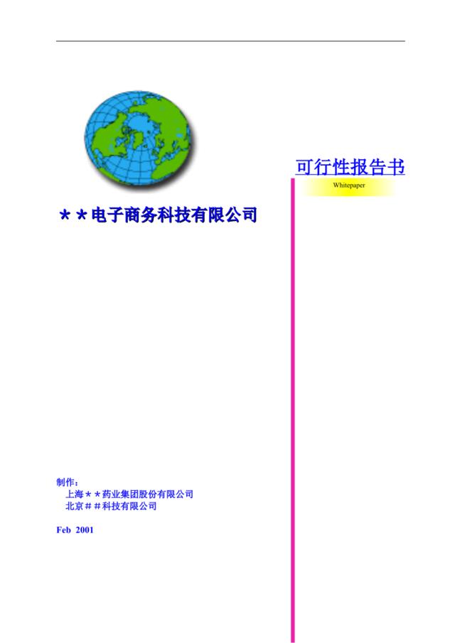 ＊＊电子商务科技有限公司可行性报告