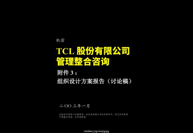 麦肯锡-TCL股份组织结构设计方案