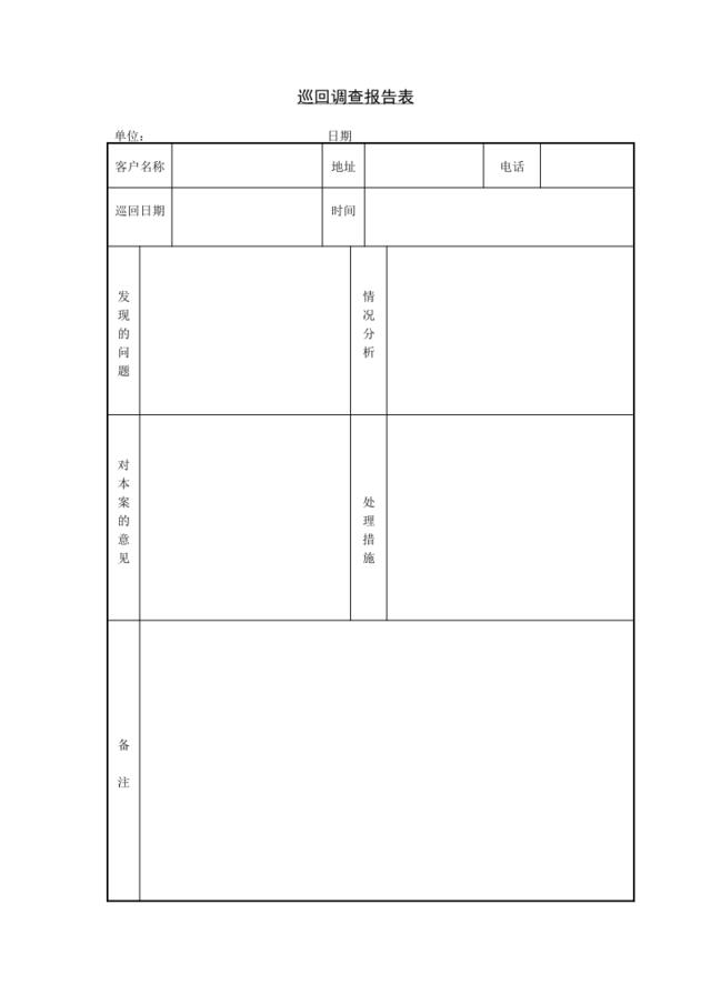 巡回调查报告表