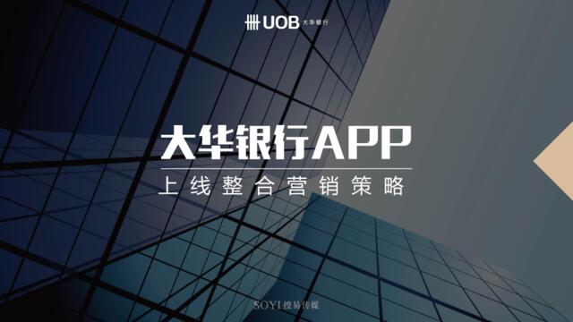 大华银行APP上线整合营销策略方案