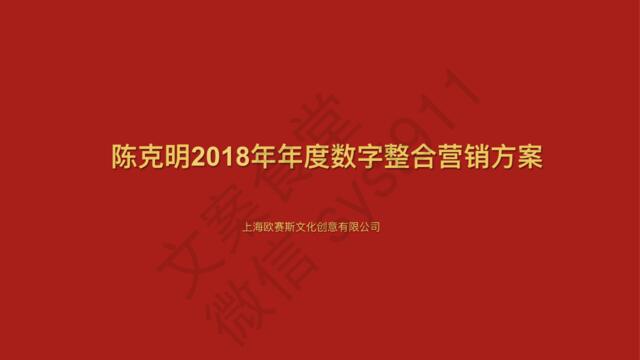 陈克明年度整合营销传播方案