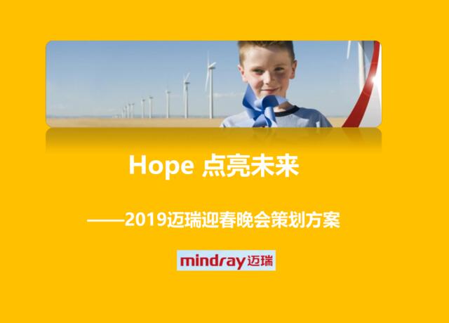 2019年“Hope-点亮未来”迈瑞集团迎春年会活动的的策划案-知识杂货店