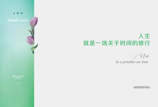 20200115-2019.3.15北京悟石广告-中国北方首个大健康产业生态园整合传播案
